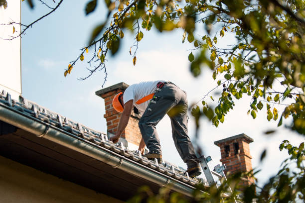 Best Chimney Flashing Repair  in Bull Valley, IL